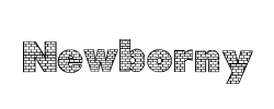 Newborny - logo
